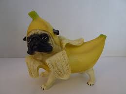 Seller 99.3% positive seller 99.3% positive seller 99.3% positive. Pug Nacious Top Banana Pug Figurine Pugnacious Rare Htf No Reserve Pugs Top Banana Banana