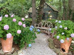 Build your own backyard game with these instructions. Design A Woodland Garden Shade Garden Ideas Hgtv