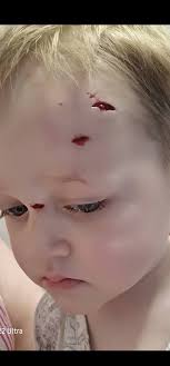 Not really gruesome for most but was for me 😬 We were at a friend's house  and my son left my sight for all of a few seconds he went into there