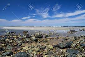 Plum Island Beach From Sandy Point At Low Tide Stock Photo, Picture and  Royalty Free Image. Image 21802960.