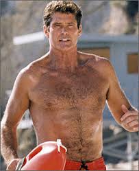Déguisement alerte à malibu humour taille unique. Baywatch Wikipedia