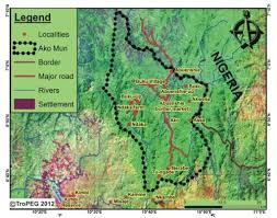 Image result for Rhabdophyllum affine