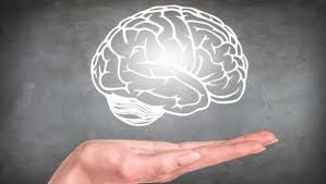 brain functioning