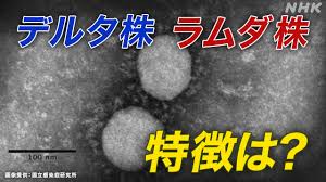 19 hours ago · 厚生労働省は1日、新型コロナウイルスの変異株でコロンビア由来の「ミュー株」が、6月と7月に空港検疫で感染が判明した2人から確認されたと明らかにした。 8月末に世界保健機関（who）が「注目すべき変異株」に位置づけており国内では初めての感染確認。 å¤‰ç•°ã‚¦ã‚¤ãƒ«ã‚¹ã®ç‰¹å¾´ æœ€æ–°æƒ…å ± Nhk