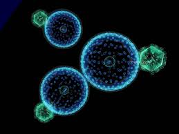 Except in helical nucleocapsids, little is known about the packaging or. Viruses Review