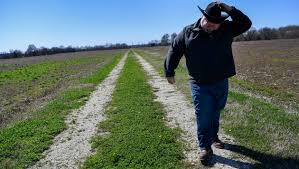 Doug has been a member of tyson foods' poultry business since 1992 and was named president of global mcdonald's business in early 2019. Tyson Chicken Plant Rejected In Kansas Welcomed In Tennessee