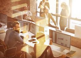 Business Analyst Roles And Responsibilities Northeastern University
