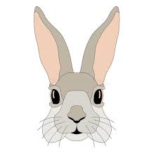 Dessin de lapin realiste raffine 75 poisson dessin facile. Illustration Realiste De Vecteur De Visage De Lapin Illustration De Vecteur Illustration Du Colore Mignon 71338860