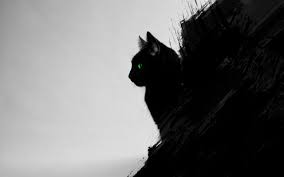 A lot of these kitty emotes don't even have whiskers. Anime Green Cat Eyes Wallpapers Wallpaper Cave