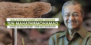 Universities in malaysia are generally categorised as public and private universities. Malaysia S Former Prime Minister Tun Mahathir Mohamad Shares His Health Secret Tiger Milk Mushroom Johor Now