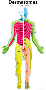 Pin On Pt Neck Exercises