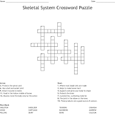 This video teaches you how to correctly. Skeletal System Review Crossword Wordmint