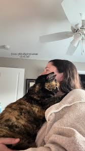 🇵🇭🇰🇷🇱🇦 @Kharlla Arcega fyp asiangirl | E (@bingsubabbyy)