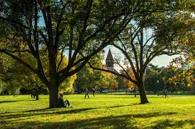 Image result for Yellow 1990 Ohio State of