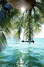 Ga Duiken In Bonaire Want De Onderwaterwereld Is Nergens Zo Mooi Als Hier Op Bonaire Ben Je Niet Snel Achtergronden Zomerachtergronden Foto Achtergronden