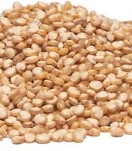 Quinoa Meaning In Hindi Spanish Tamil Telugu Malayalam Urdu Kannada Name Gujarati In Marathi Indian Name Marathi Tamil English Other Names Called As Translation Pocket News Alert