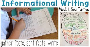 Set The Routine Informational Writing Week 1 Sea Turtles