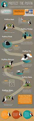 68 Conservation Environmental Issues Ideas Environmental Issues Conservation National Wildlife Federation