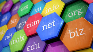 Top Considerations For Domain Names And Hosting Providers Small Business Trends Programming Languages App Development Coding