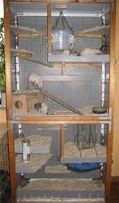 Rat Cage Rat Cage Diy Rat Cage Rat House