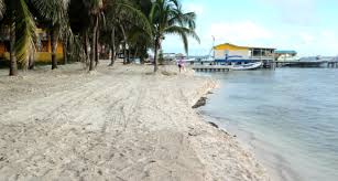 The caulkers proposal would also pay for upgrades to heating, ventilation and cash for caulkers could deliver a triple threat: Caye Caulker Gets A New Beach Btb
