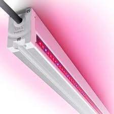 Provide illumination to the plants. 17 Plant In City Ideas Robot Wiki Indoor Farming Backyard Aquaponics