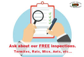 Their services include ants, bats, bees, beetles, birds, carpet beetles, cockroaches. Ailing House Pest Management Inc Carmel S Trusted Pest Termite Inspection Control Service In Carmel Ca And Surrounding Areas