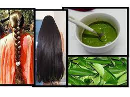 Well, consider if the goodness of the curry leaves while helping your digestive system, can create wonders for your hair? Curry Leaf Herbal Hair Mask For Long Thick Hair Starnaturalbeauties Youtube