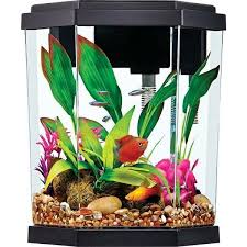 2 Gallon Fish Habitat With Filter Perfect For Small Fish Aquarium Kit Pet Spray Aquarium