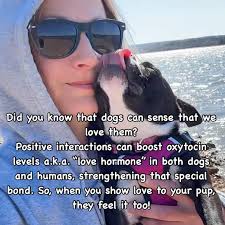 This thing called love …