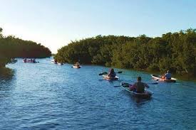 View verified photos and read verified reviews Small Group Clear Kayak Tour In Shell Key Marriott