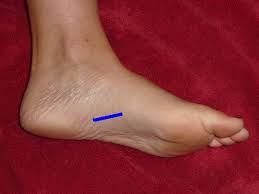 See full list on foothealthfacts.org Foot Pathology Ultrasound