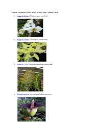 Maybe you would like to learn more about one of these? Nama Tanaman Hias Atau Bunga Dan Nama Latin