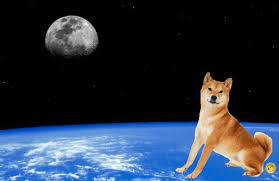 Early 2015 (approximately a year and a half after release) there will be. Top 30 Dogecoin Gifs Find The Best Gif On Gfycat