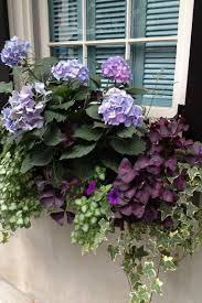 Pull taller, accent flowers to the center and arrange smaller flowers and filler around the perimeter. 20 Inspiring How To Care For Hydrangeas Hydrangea Hydrangeawreath Hydrangeacolors Window Box Flowers Growing Hydrangeas Plants