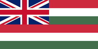This flag has been the national flag of hungary since the middle of the 20th century. British Hungary Flag This Is My First Time Doing Flags Can Someone Help Me Somnivexillology