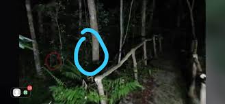 Terakam hantu bunian semasa anak mandi if you feel you have liked it misteri perkampungan bunian di gunung jerai mp3 song then are you know download mp3, or mp4 file 100% free! Gunung Jerai Explore Solo Jas Inanansad Solo Facebook