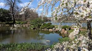 Many of the state's fine historic homes have grand gardens, as do many of the state parks. Japanese Garden Chicago Park District
