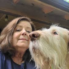 Who can deliver fill dirt to a farm in Pelham?