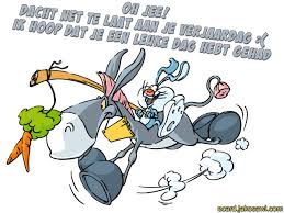 Jakosawi E Cards Te Laat Verjaardag 1201