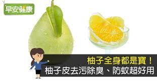柚子全身都是寶 柚子皮去污除臭 防蚊超好用 tips