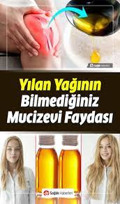 Yilan Yagi Nedir Nasil Kullanilir Yilan Yaginin Faydalari Nelerdir Saglik Saglik Cilt Bakimi Saglik Ipuclari