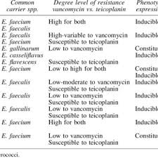 079 361 10 22 zoetermeer@absdenelzen.nl. Pdf Vancomycin Resistant Enterococci A Review Of Antimicrobial Resistance Mechanisms And Perspectives Of Human And Animal Health