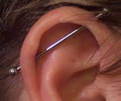 How Much Does An Industrial Piercing Cost Industrial Piercing Jewelry Types Of Ear Piercings Industrial Piercing