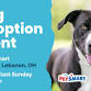 Dog Adoption Event at PetSmart South Lebanon, OH event image