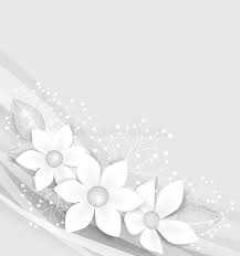 African king protea v1 (silver linen) 24. White Flowers Stock Vector Illustration Of Invitation 47141376