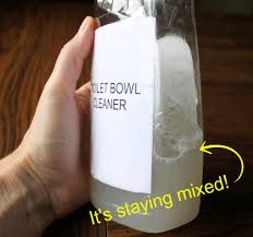 homemade toilet bowl cleaner the update