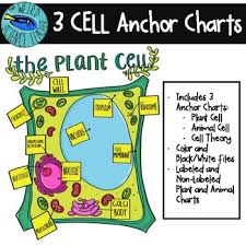 Science Scaffolded Notes Anchor Charts Cells 3 Charts 10 Files