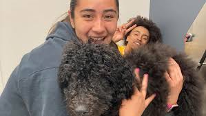 Fundraiser by Ariel Pearson : Fire Recovery for Caleb, Athena & Dogs