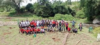 Image result for Oldeania alpina